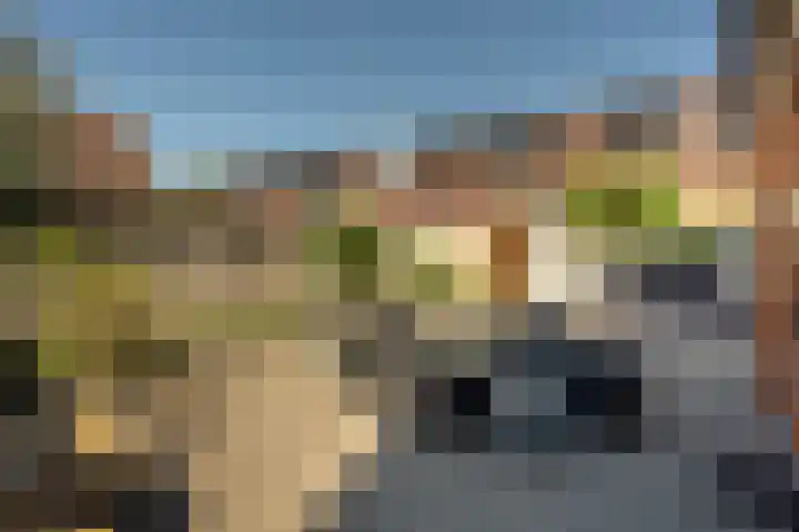 Pasmanstraat 1 's-Gravendeel thumbnail 53