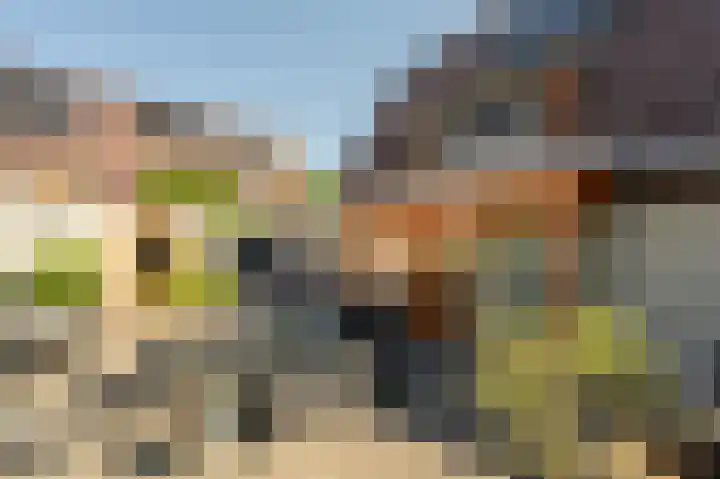 Pasmanstraat 1 's-Gravendeel thumbnail 54