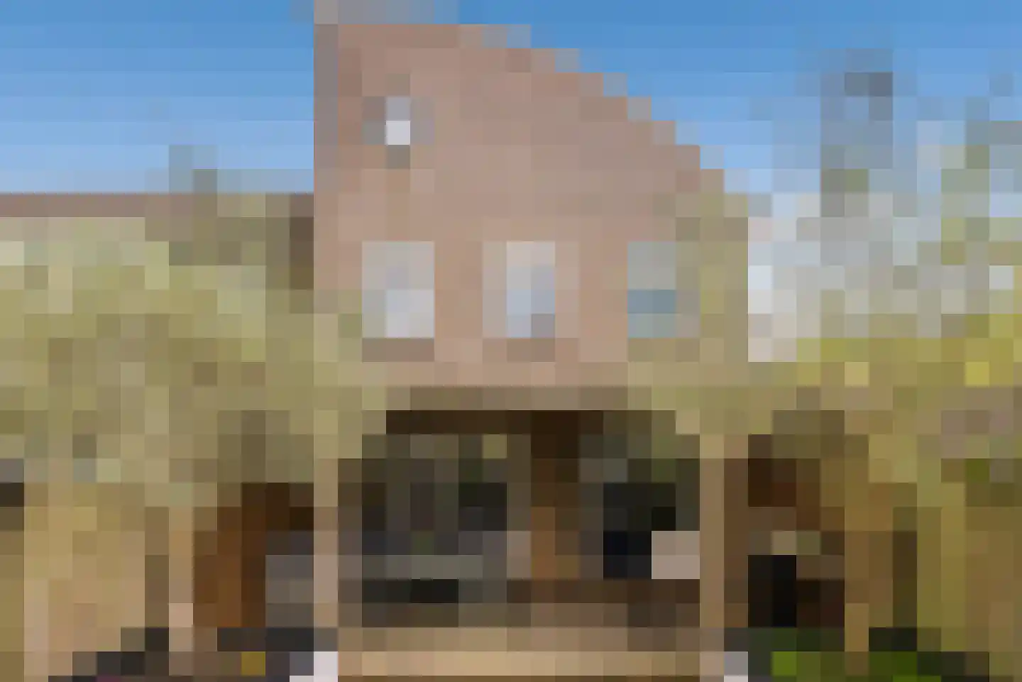 Pasolinistraat 80 Almere thumbnail 46