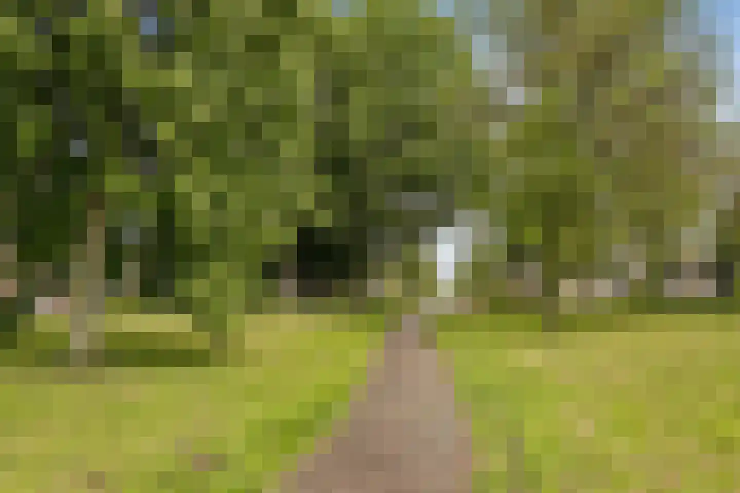 Pasolinistraat 80 Almere thumbnail 56