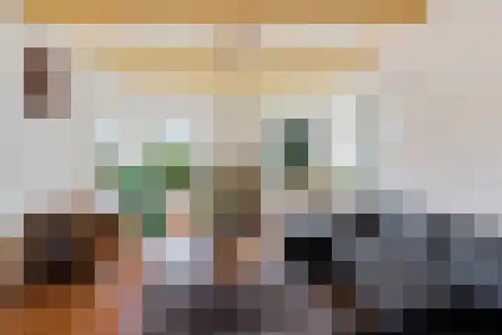 Pasop 10 Midwolde thumbnail 10