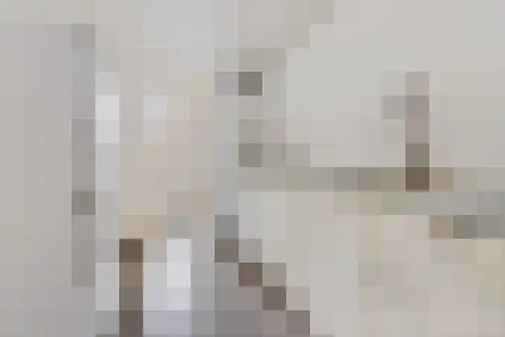 Pasop 10 Midwolde thumbnail 15