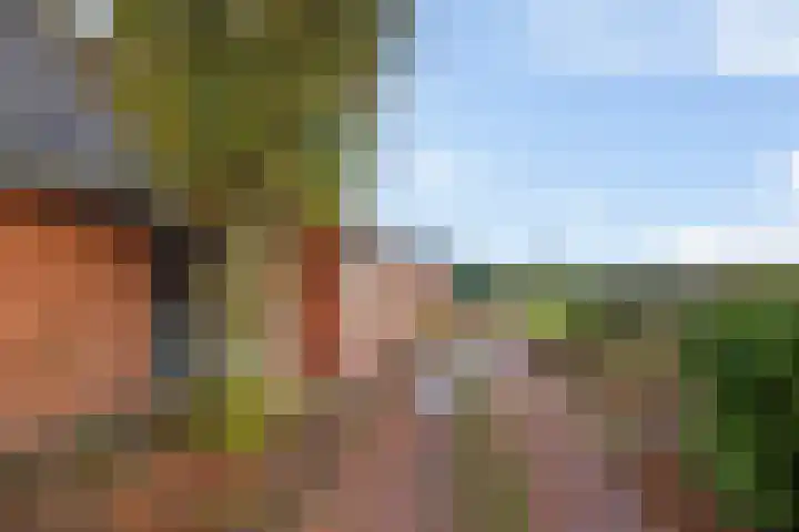 Pasop 10 Midwolde thumbnail 26