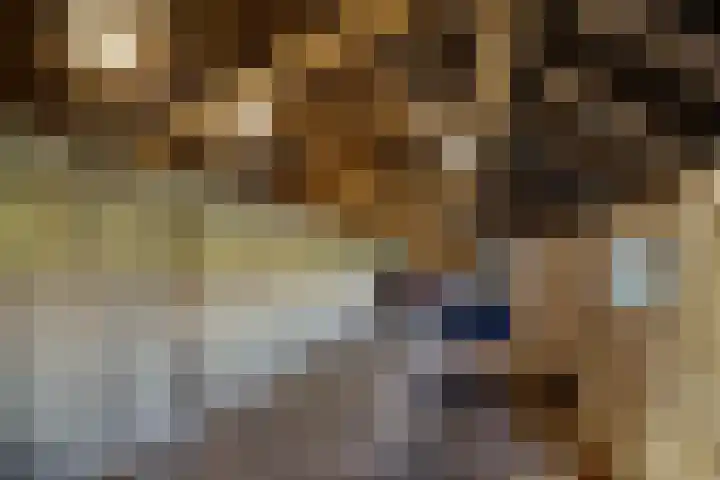 Pasop 10 Midwolde thumbnail 29
