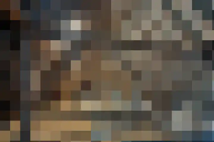 Pasop 10 Midwolde thumbnail 30