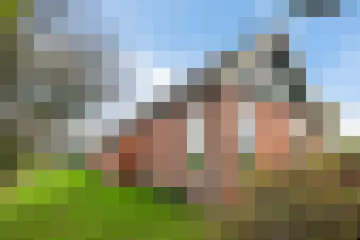 Pasop 10 Midwolde thumbnail 39