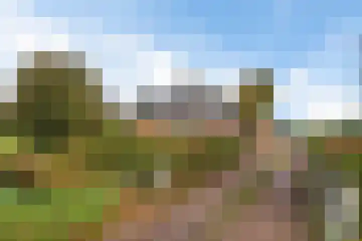 Pasop 10 Midwolde thumbnail 4