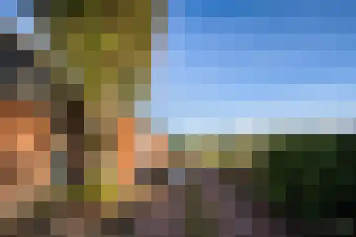 Pasop 10 Midwolde thumbnail 40