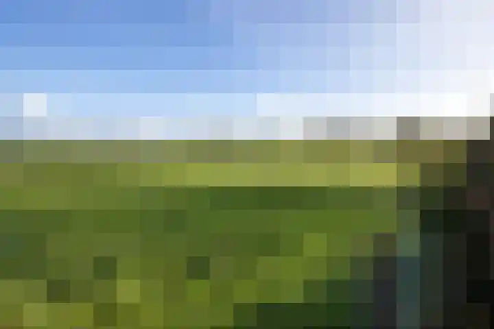 Pasop 10 Midwolde thumbnail 41