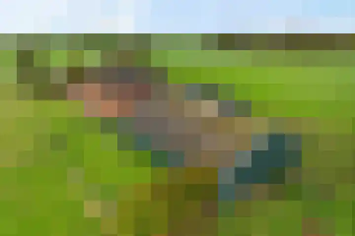 Pasop 10 Midwolde thumbnail 42