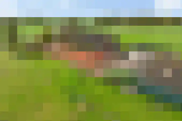 Pasop 10 Midwolde thumbnail 43