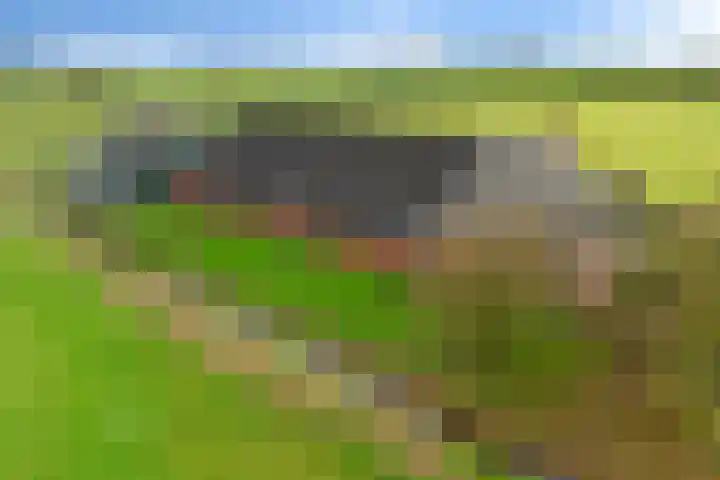 Pasop 10 Midwolde thumbnail 44