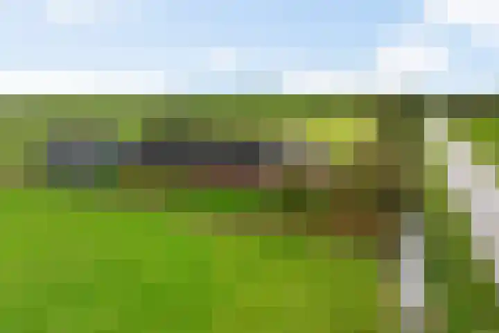 Pasop 10 Midwolde thumbnail 45