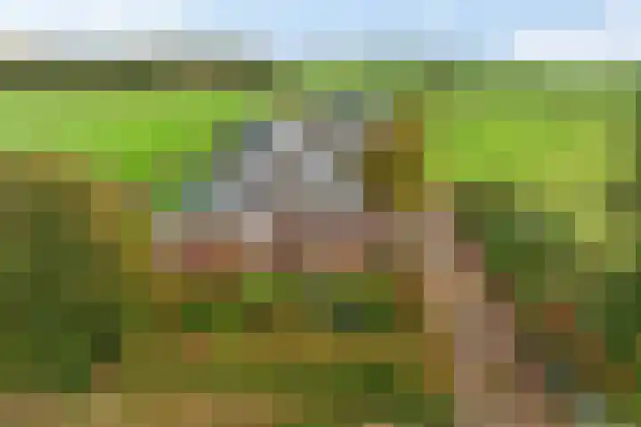 Pasop 10 Midwolde thumbnail 46