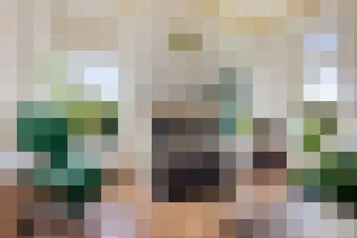 Pasop 10 Midwolde thumbnail 8