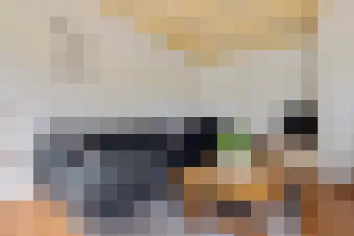 Pasop 10 Midwolde thumbnail 9