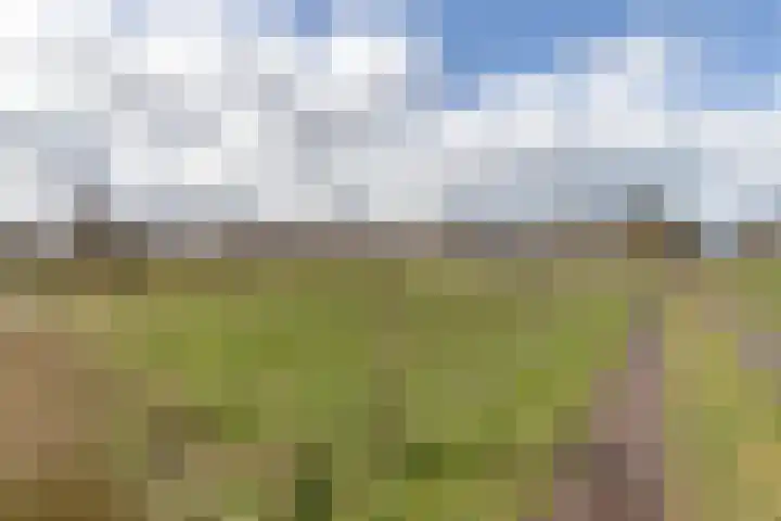 Pasop 58 Midwolde thumbnail 11