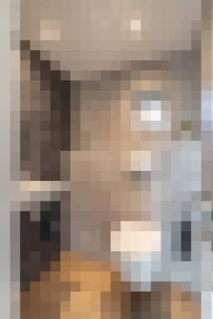 Pasop 58 Midwolde thumbnail 16