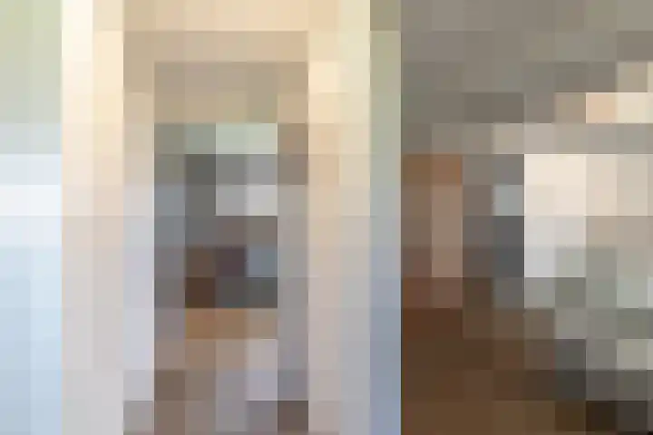 Pasop 58 Midwolde thumbnail 22