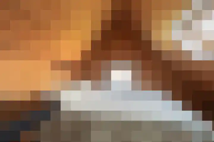 Pasop 58 Midwolde thumbnail 41