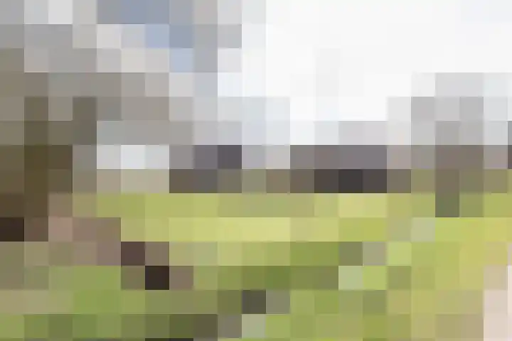 Pasop 58 Midwolde thumbnail 51