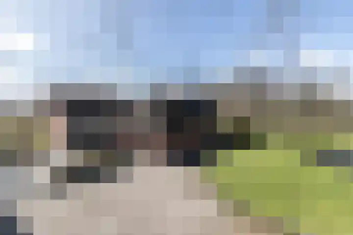 Pasop 58 Midwolde thumbnail 6