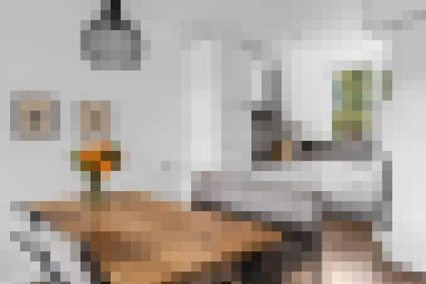 Pasqualinilaan 32 IJsselstein thumbnail 21