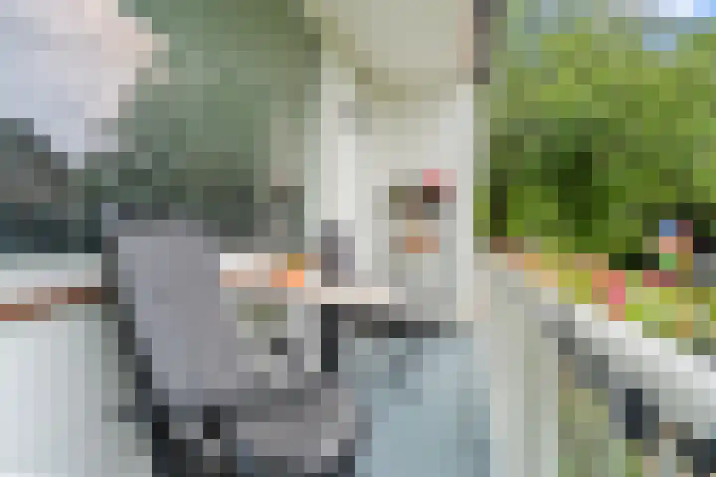 Pasqualinilaan 32 IJsselstein thumbnail 24