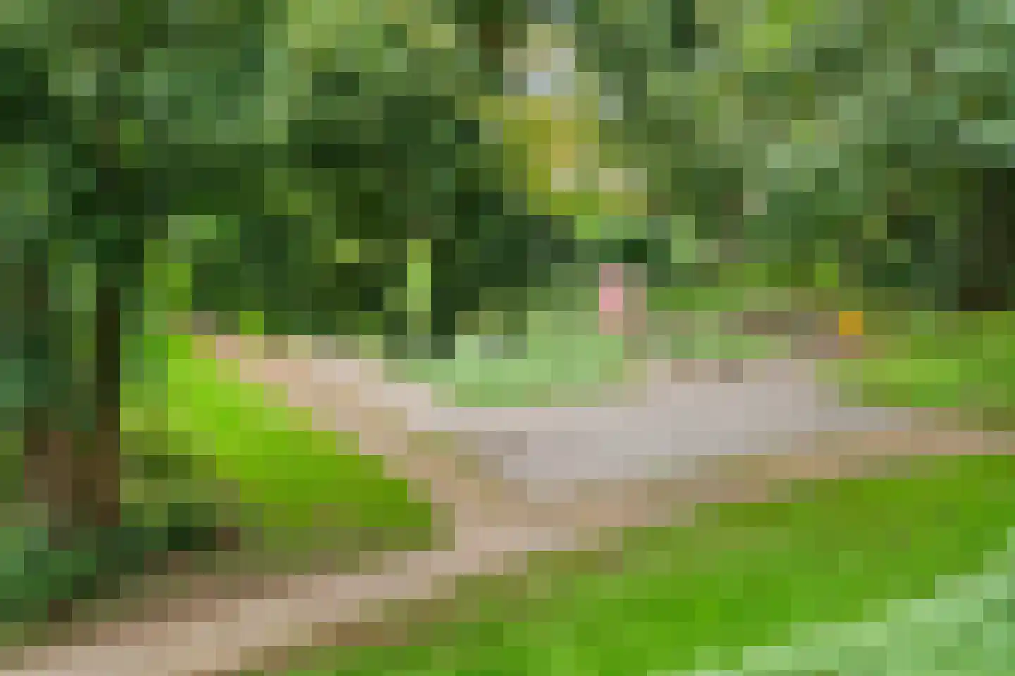 Pasqualinilaan 32 IJsselstein thumbnail 26