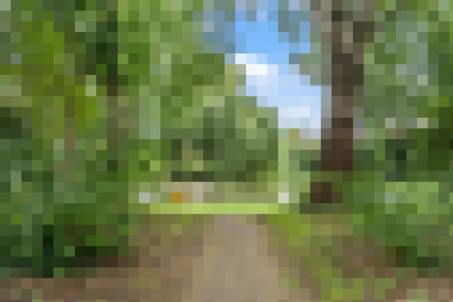Pasqualinilaan 32 IJsselstein thumbnail 38