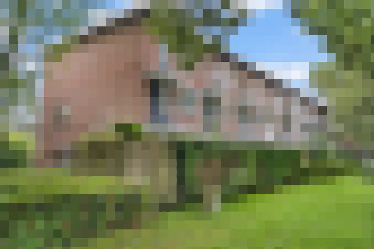 Pasqualinilaan 32 IJsselstein thumbnail 8