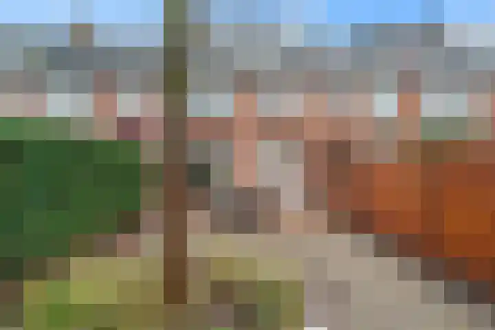 Pasqualinilaan 6 IJsselstein thumbnail 24
