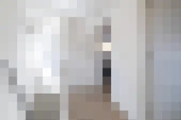 Pasquelaan 14 Prinsenbeek thumbnail 15