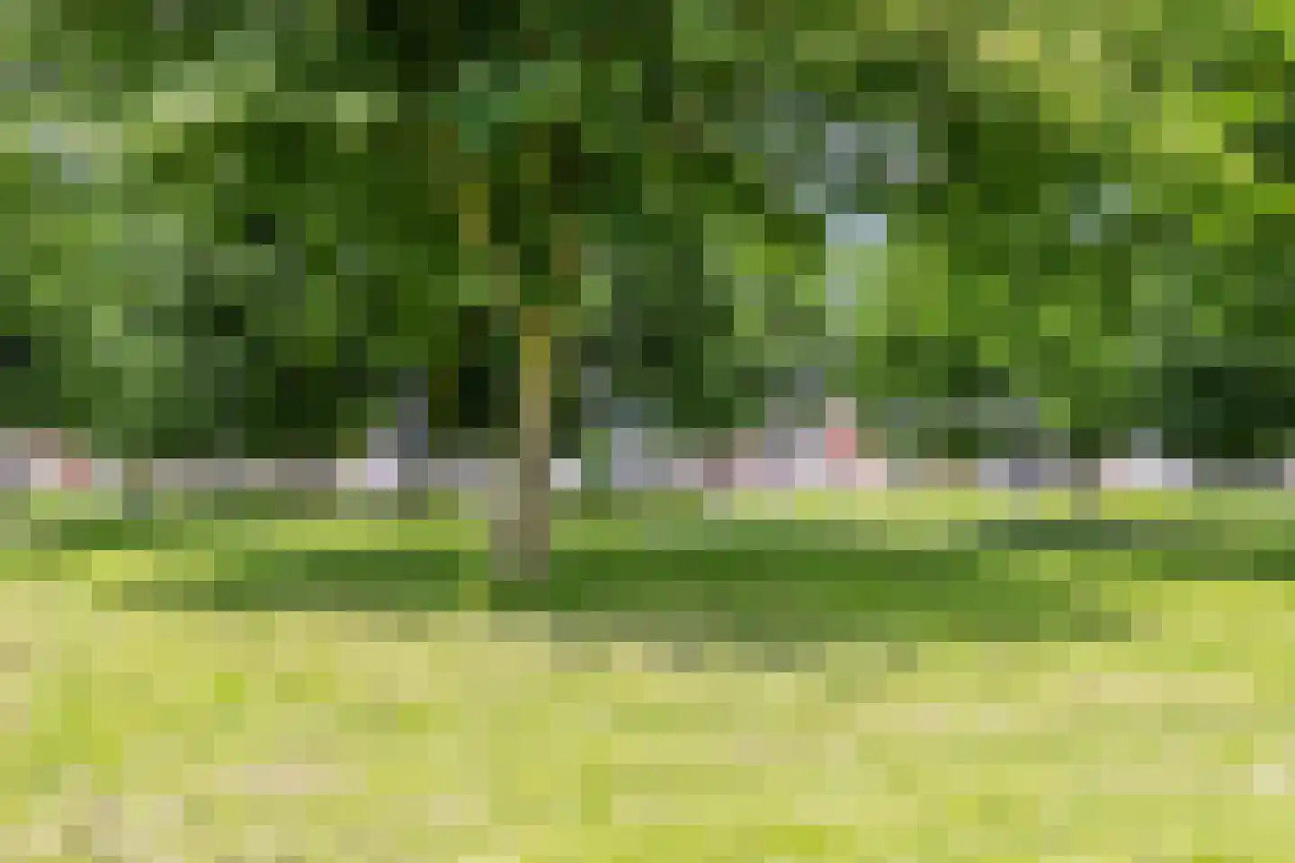 Passaat 53 Zeewolde thumbnail 35