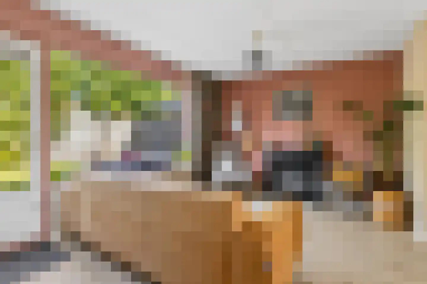 Passaat 9 Zeewolde thumbnail 11