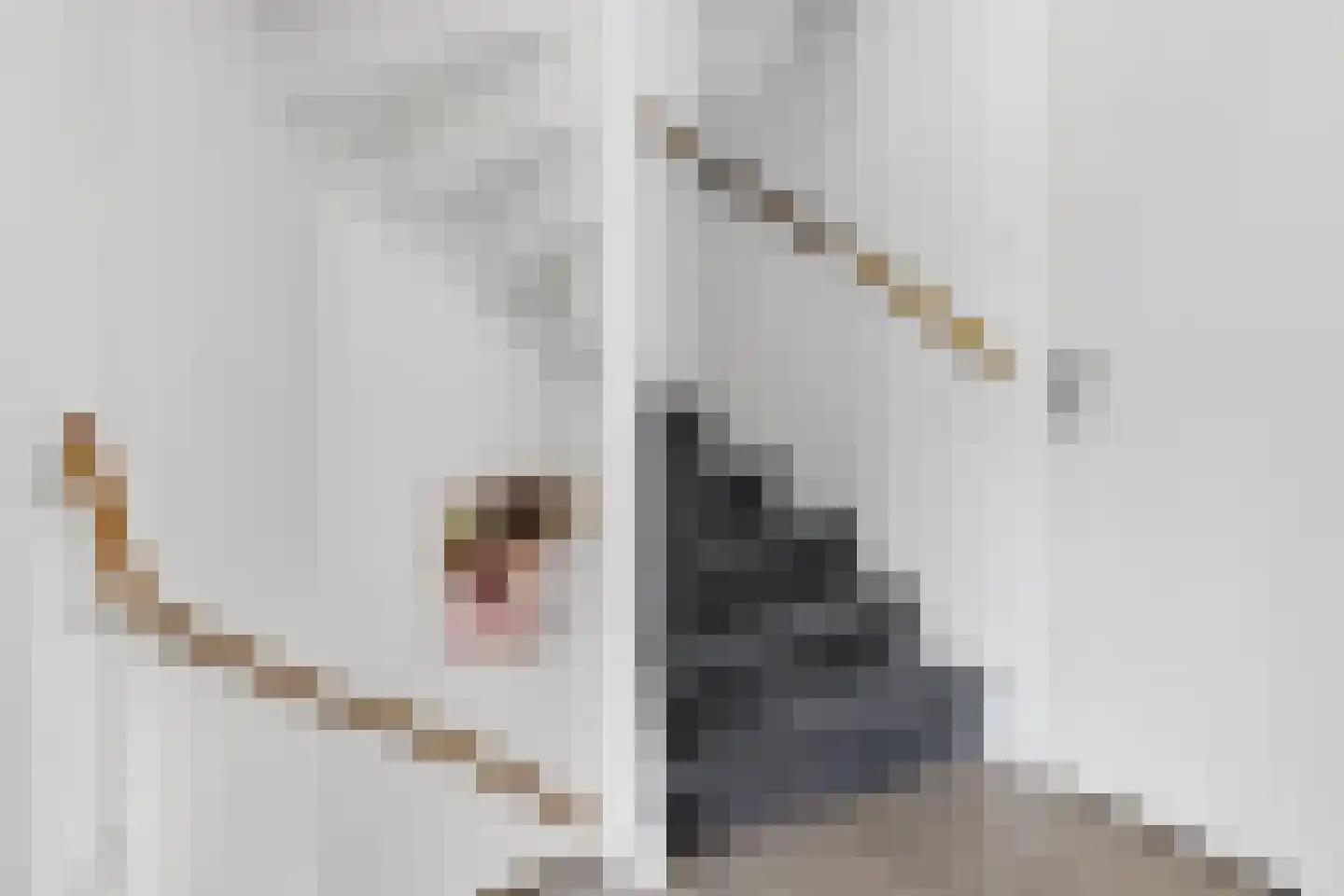 Passaat 9 Zeewolde thumbnail 23