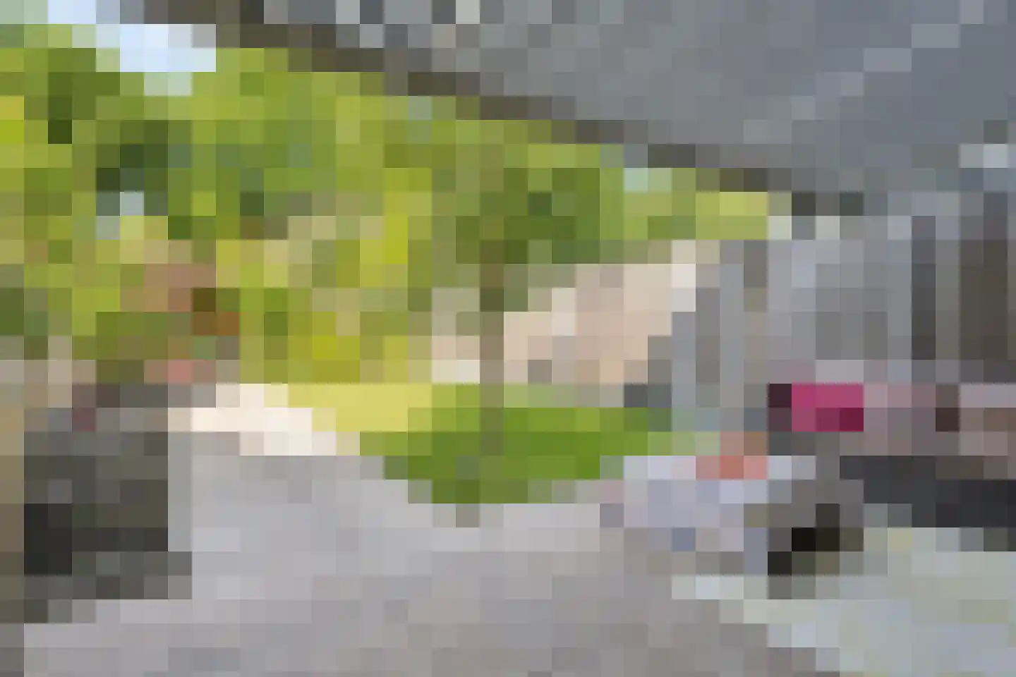 Passaat 9 Zeewolde thumbnail 35