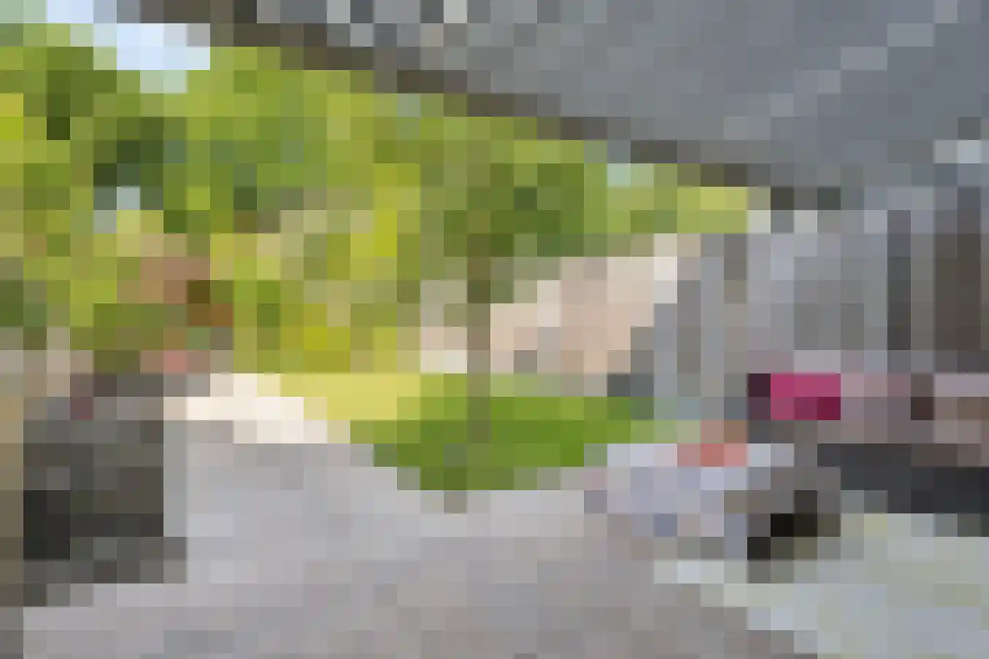 Passaat 9 Zeewolde thumbnail 4
