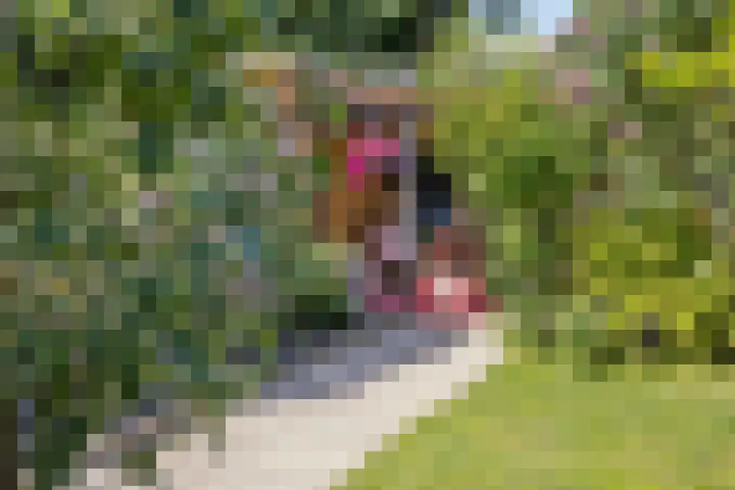 Passaat 9 Zeewolde thumbnail 41