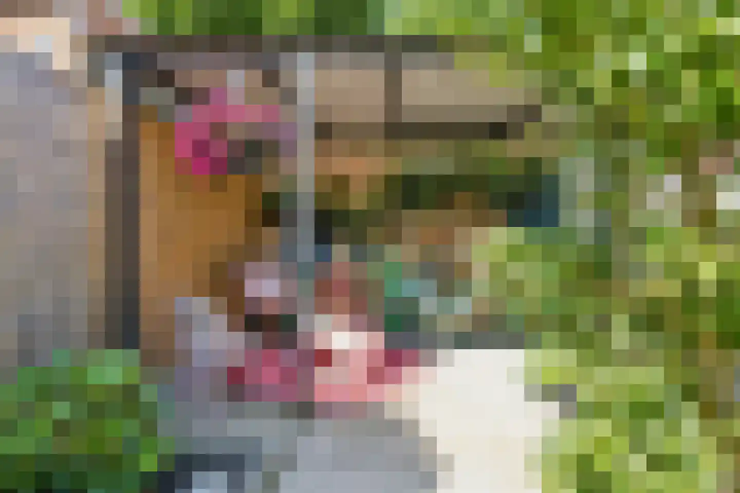 Passaat 9 Zeewolde thumbnail 42