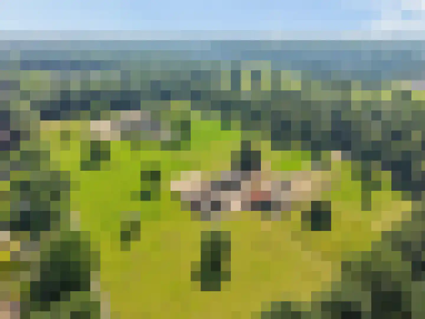 Passaat 9 Zeewolde thumbnail 53