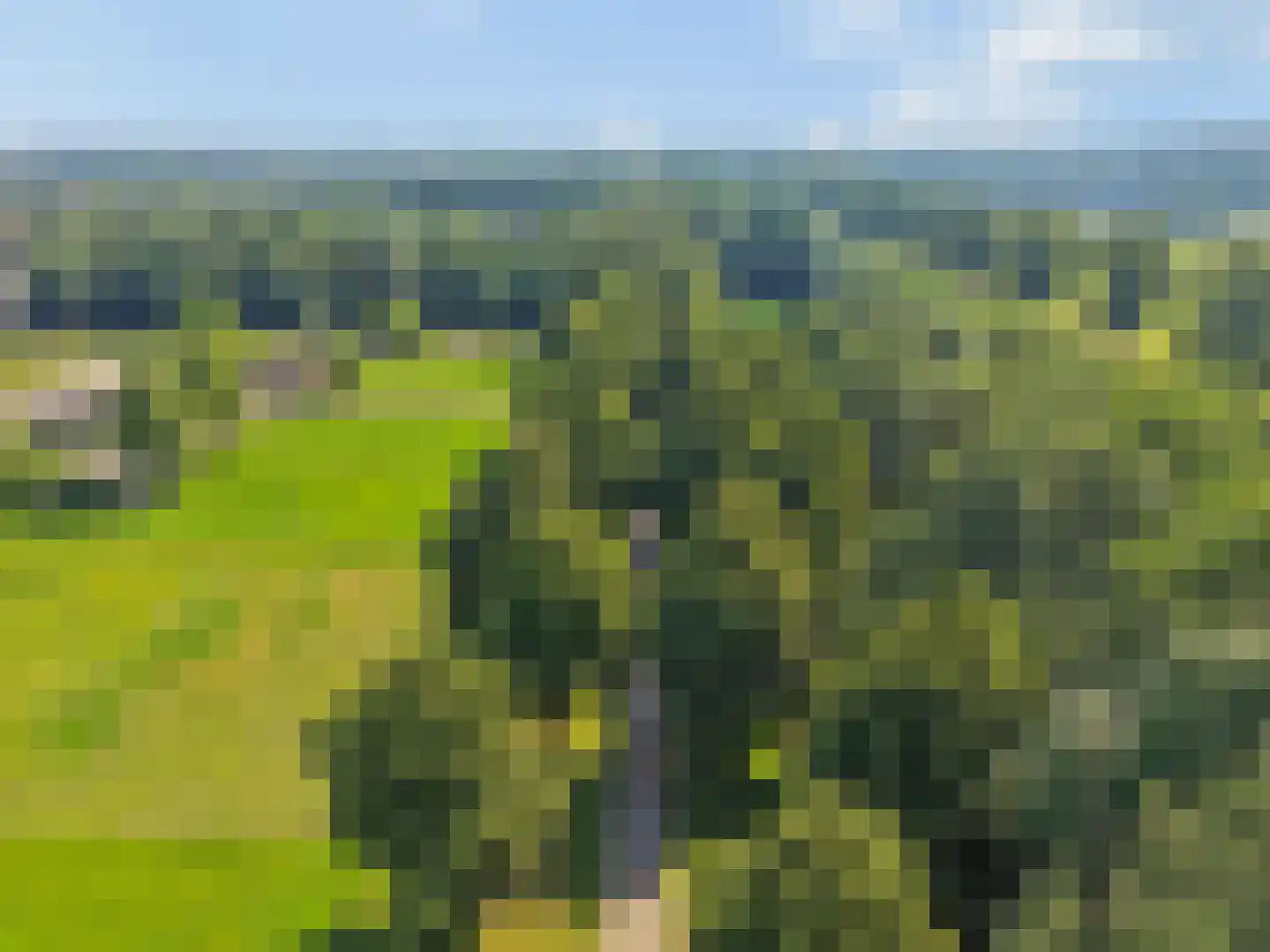Passaat 9 Zeewolde thumbnail 54
