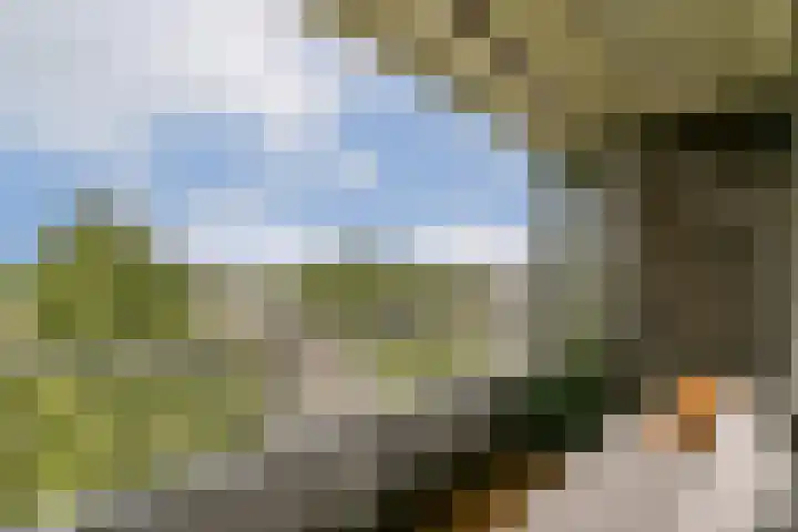 Passage 206 Waddinxveen thumbnail 17