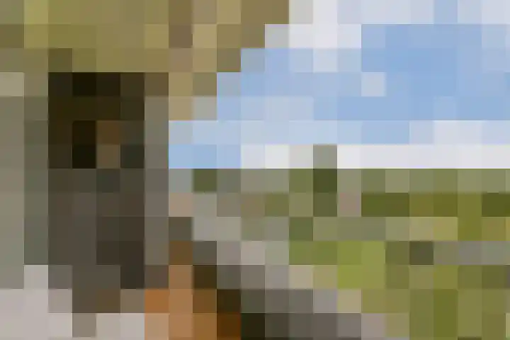 Passage 206 Waddinxveen thumbnail 19