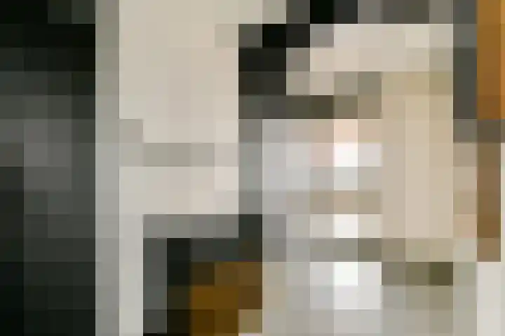 Passage 206 Waddinxveen thumbnail 4