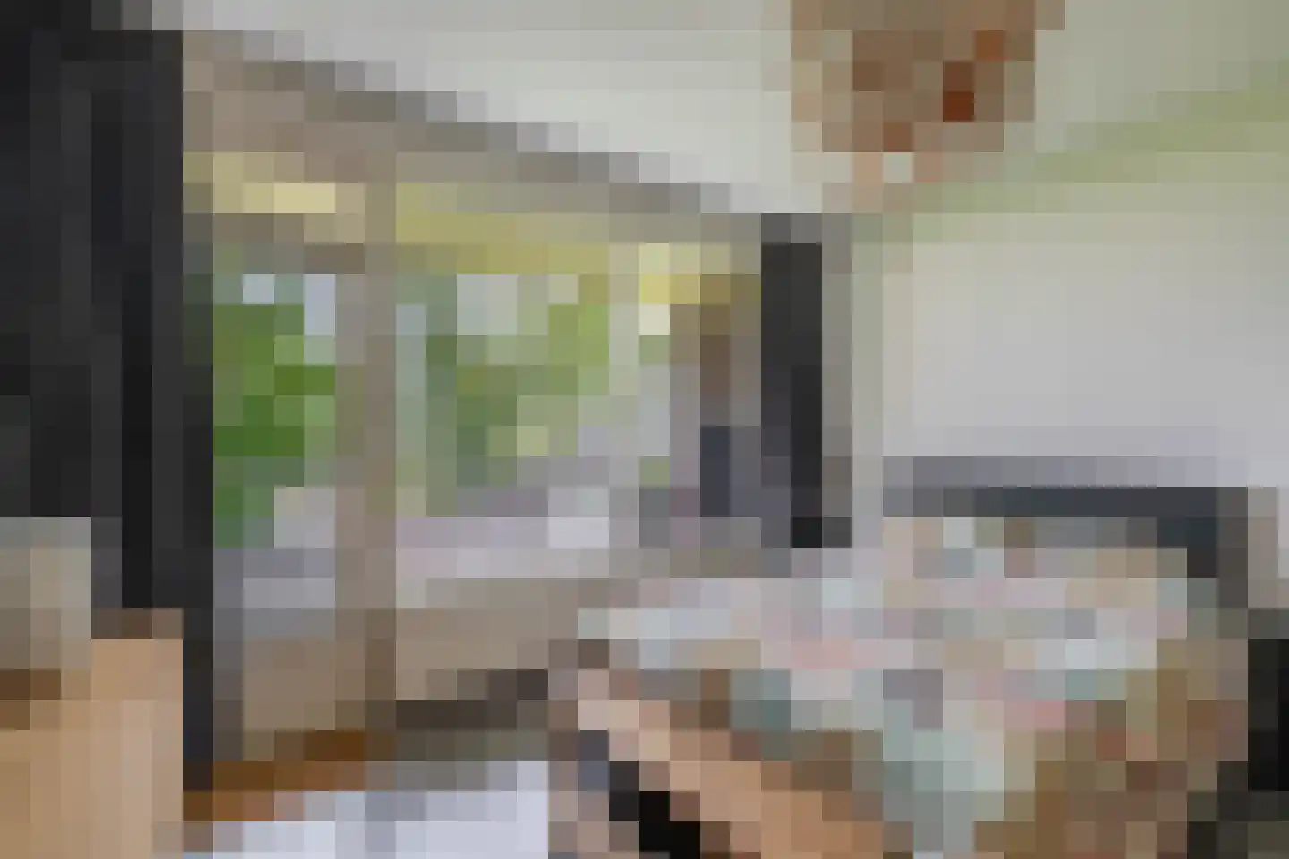 Passage 22 Waddinxveen thumbnail 17