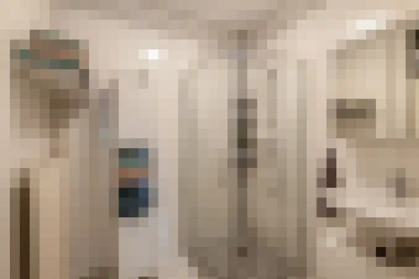 Passage 22 Waddinxveen thumbnail 20