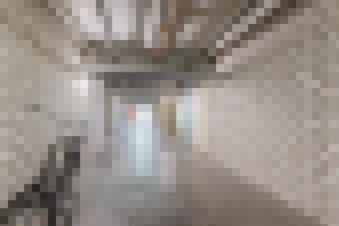 Passage 22 Waddinxveen thumbnail 25