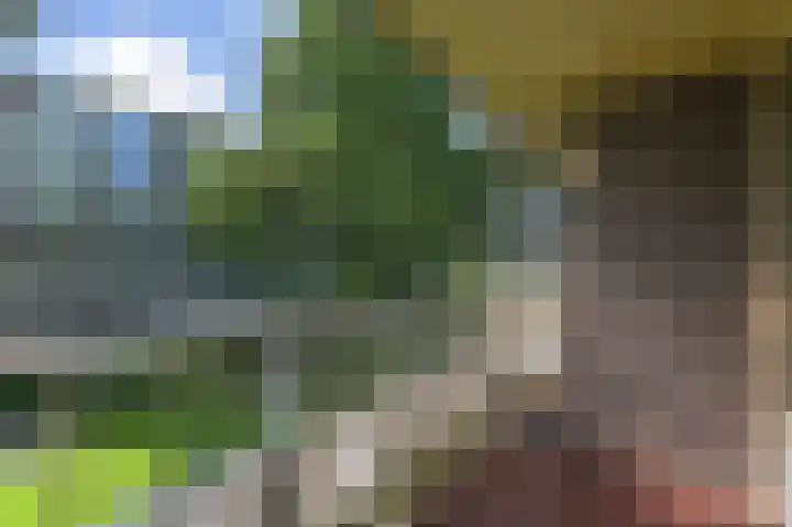 Passage 26 Waddinxveen thumbnail 22