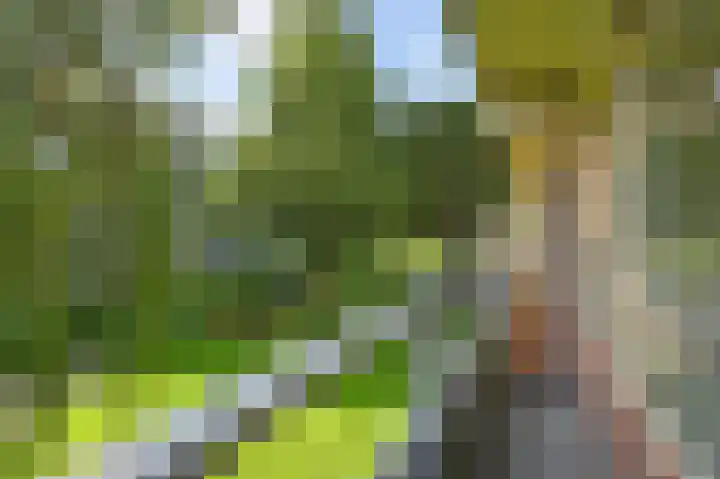 Passage 26 Waddinxveen thumbnail 24